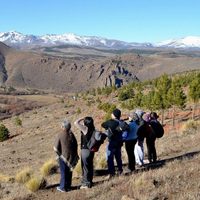 PreViaje: se viene la tercera edición y podría hacerse ley en el futuro cercano