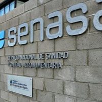 Neuquén: Establecerán un sistema de control sobre el transporte de alimentos