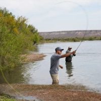 Más de un centenar de pescadores participaron en el 8° Torneo de Pesca de Carpas en Neuquén