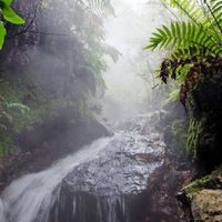 Reabre el paraíso termal escondido entre San Martín de los Andes y Chile: lo que tenés que saber antes de ir