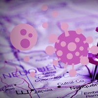 Coronavirus en Neuquén: pocos contagios y fallecimientos en la jornada