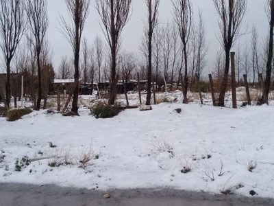 Importante: podrían volver las nevadas a Neuquén Capital