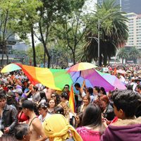 Reconocer la dignidad humana de la comunidad LGBTTTI en hechos y leyes, pide la CNDH