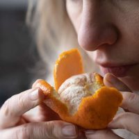 Sin importar la cultura, las personas prefieren los mismos olores: este es el favorito en el mundo