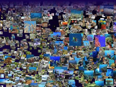 Google Arts & Culture conciencia sobre el clima con nuevos contenidos interactivos