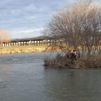 Mueren ocho migrantes al intentar cruzar el río Bravo