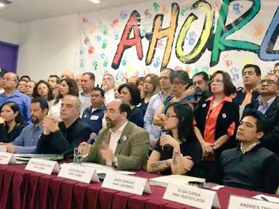 Álvarez Icaza declina aspiración presidencial para "no ser funcional al PRI"
