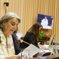 Escándalo en la Legislatura: diputados de Neuquén hicieron ley el impedimento para que Gloria Ruiz pueda ejercer como vicegobernadora