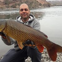 Pescó una carpa de 7 kilos en el la Isla Jordán y ahora es furor en las redes sociales