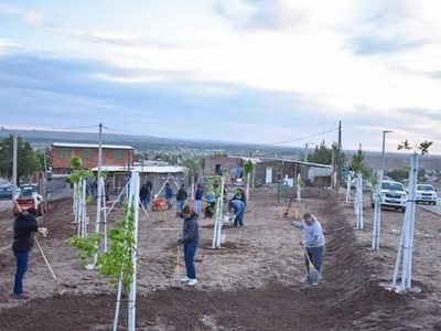 Qué tomas planea regular Neuquén Capital en 2022