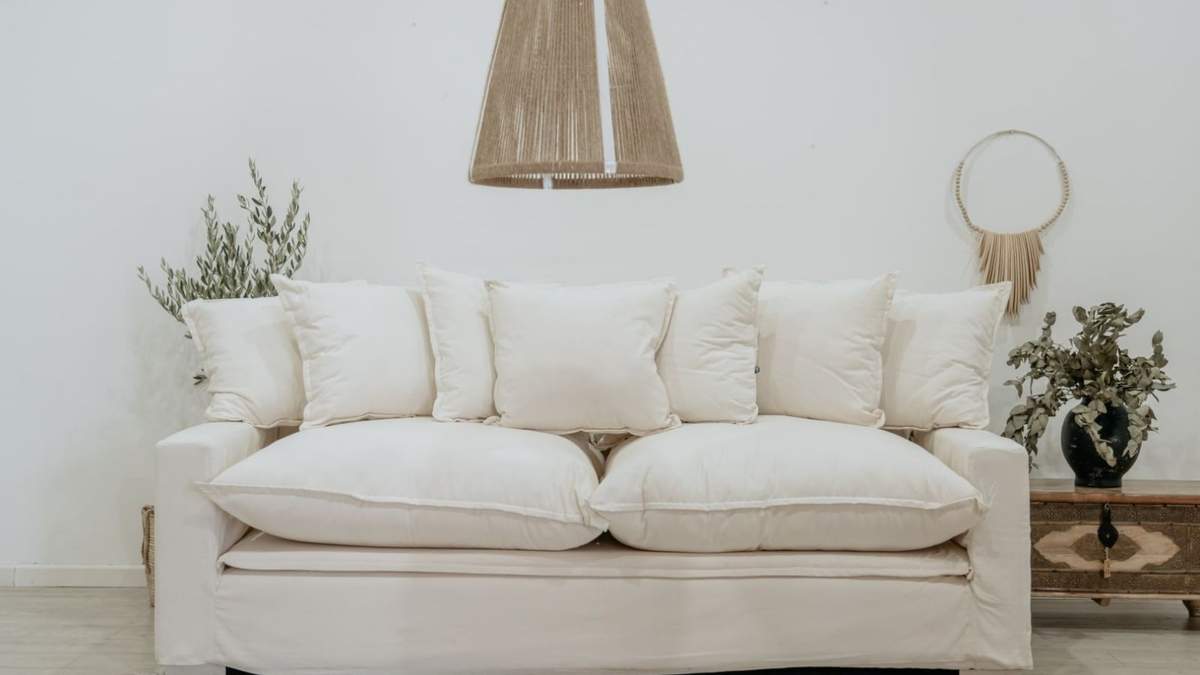 Cómo mantener tus colchones y sillones siempre limpios. Fuente: (X)