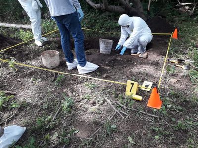 Detención de pareja condujo a localizar 9 cuerpos en fosas clandestinas en Colima