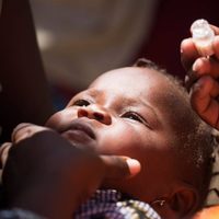 Más de 29 países han sufrido casos o brotes de cólera durante 2022: OMS