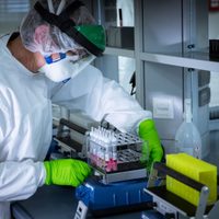 Coronavirus en Neuquén: qué dice el último parte de Salud