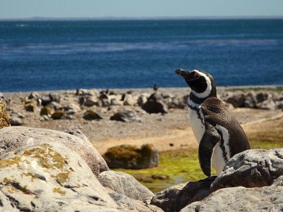 Cada noviembre se lanza la temporada de verano en el paraíso de Puerto Deseado