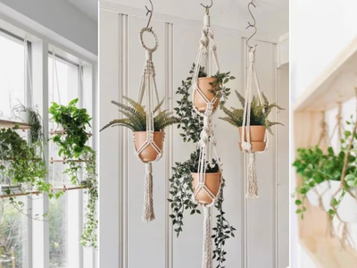 Jardinería sin estrés: las plantas que sobreviven aunque te olvides de regarlas