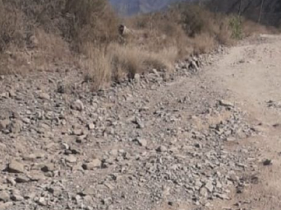Misión imposible: vecinos denuncian el deplorable estado del camino de ingreso al cerro Arco