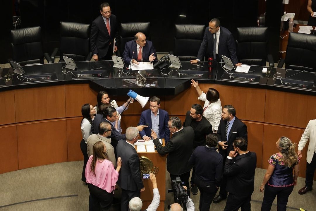 senado2