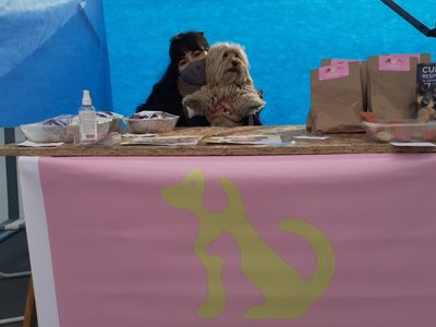 Un emprendimiento de repostería natural para perros y gatos