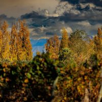 Mejora el tiempo en Mendoza y sube la temperatura