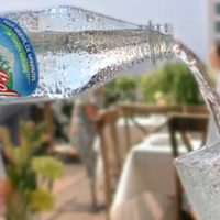 Niveles de arsénico en agua Peñafiel, dentro de la Norma Oficial: Profeco