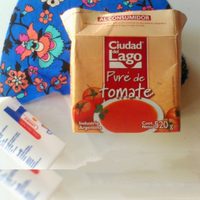 No tires las cajas de puré de tomate vacías, así podés convertirlas en el objeto de decoración que necesitabas