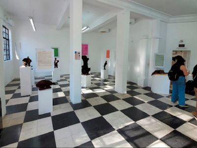Cultura de Neuquén llamó a presentar propuestas artísticas de proyectos expositivos