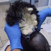 Hallan droga en la peluca de un pasajero antes de abordar su vuelo (Video)