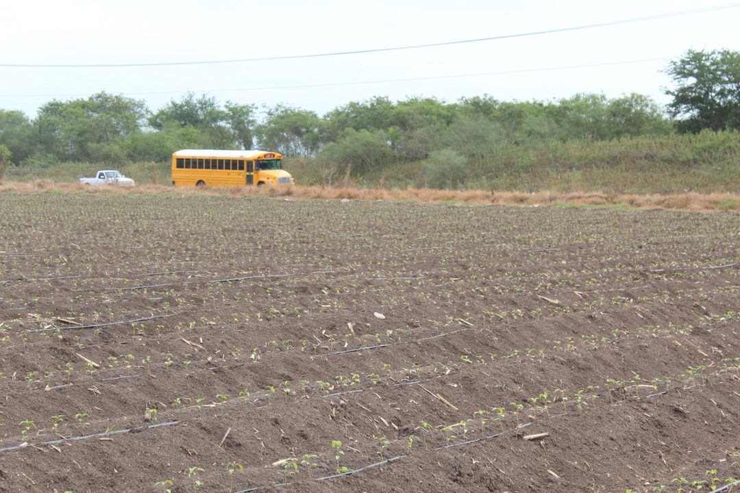 los campos Foto Aarón Ibarra