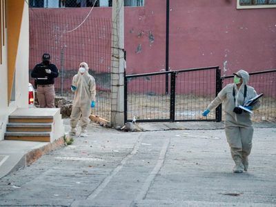 Guerrero: El monopolio del narco en alcaldías ha dejado secuestros, asesinatos y decapitaciones