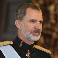 "¿Alguien espera algo de Felipe VI?": las sorprendentes declaraciones de un colaborador sobre el Rey