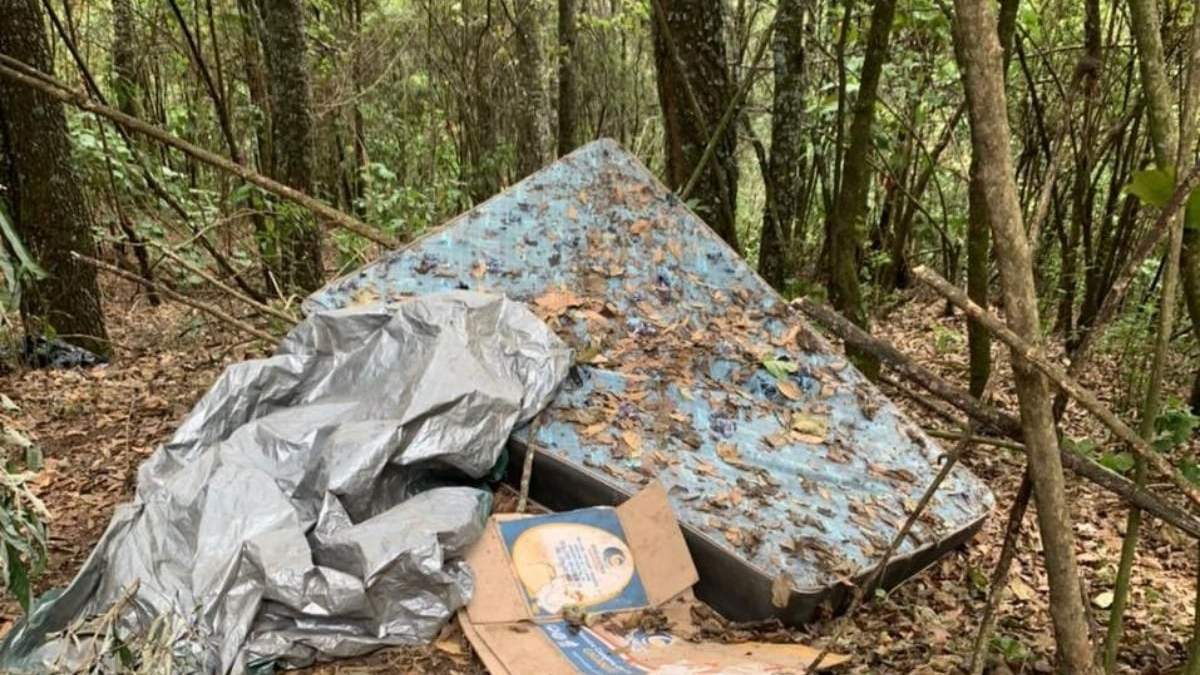 Los restos del supuesto campamento del CJNG