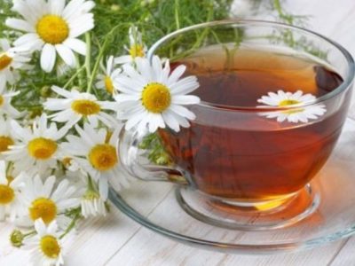No compres más y tené tu propia planta de Manzanilla utilizando solo un saquito de té