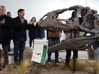 Presentaron en Villa El Chocón a Meraxes, un dinosaurio carnívoro gigante