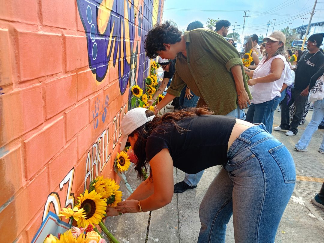 Girasoles Foto Estrella Pedroza