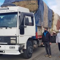 Villa Pehuenia y Moquehue: distribuyeron 1800 fardos de pasto
