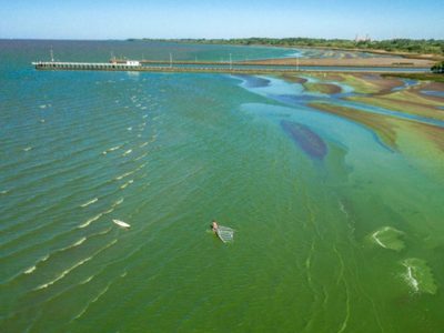 Cianobacterias: aumentan las alertas en lagunas y ríos de la provincia de Buenos Aires