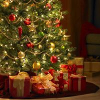Armar el arbolito de Navidad: una costumbre que viene de los celtas