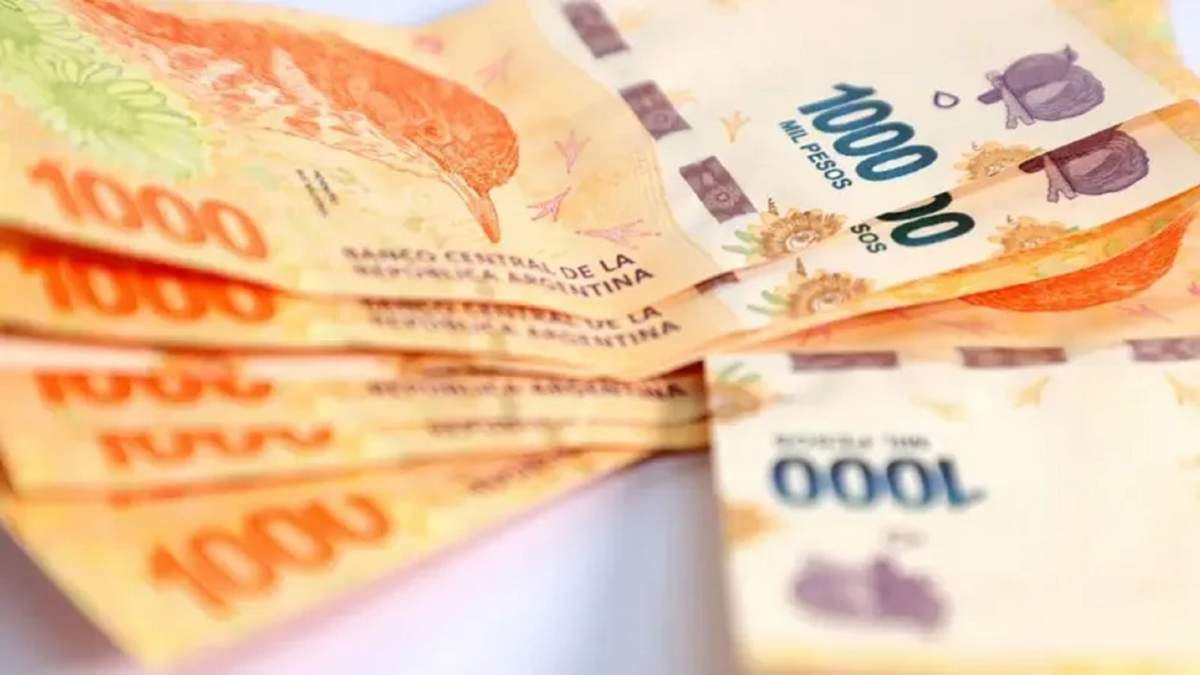 Los haberes de los jubilados se actualizan mensualmente. Fuente: (X)