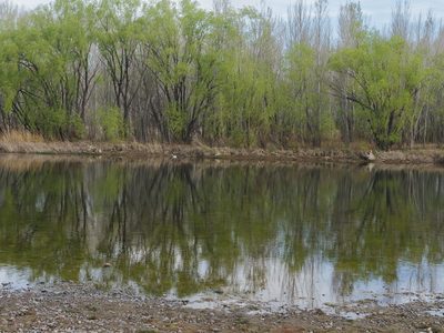 Clima en Neuquén: comenzará a subir la temperatura