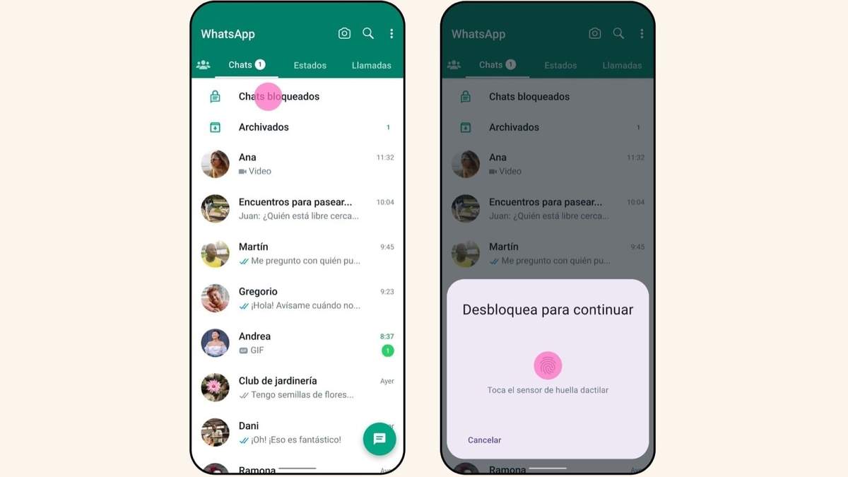 WhatsApp. Ajustes y Privacidad