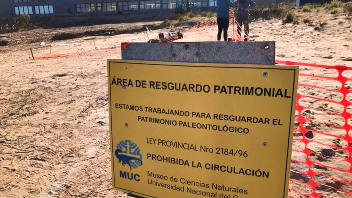 Hallaron huevos fósiles de aves en el campus de la UNCo. Fuente: (Twitter)