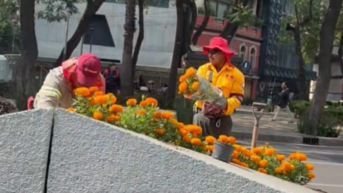 Trabajadores colocal la flor de cempasúchil en Paseo de la Reforma