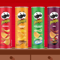 No tires las latas de papas fritas o Pringles: creá esta glamorosa maceta para decorar tu casa o jardín