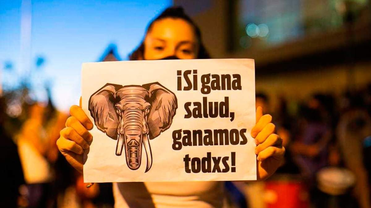 Autoconvocados de Salud en 2021. Fuente (Stephanie Malen).