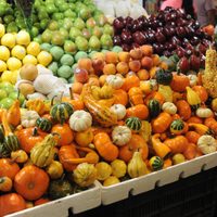 En 2019 se desperdiciaron alimentos por 400 mil mdd: FAO