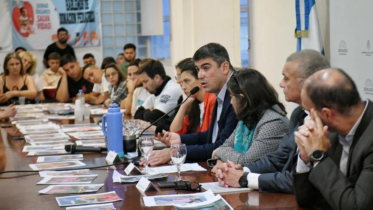 La iniciativa es impulsada por el senador Daniel Bensusán