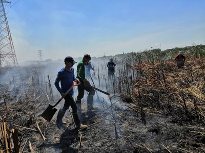 Medio centenar de incendios arrasa con más de cuatro mil hectáreas en Tabasco