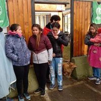 Se levantó la toma del Distrito Escolar en San Martín en los Andes