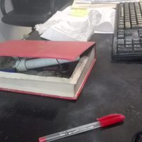 Atentan contra senadora Citlalli Hernández con explosivo oculto en "caja que simulaba libros"